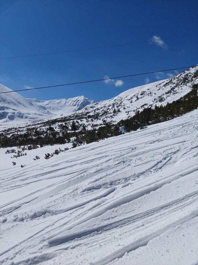 Borohome Borovets Exteriör bild